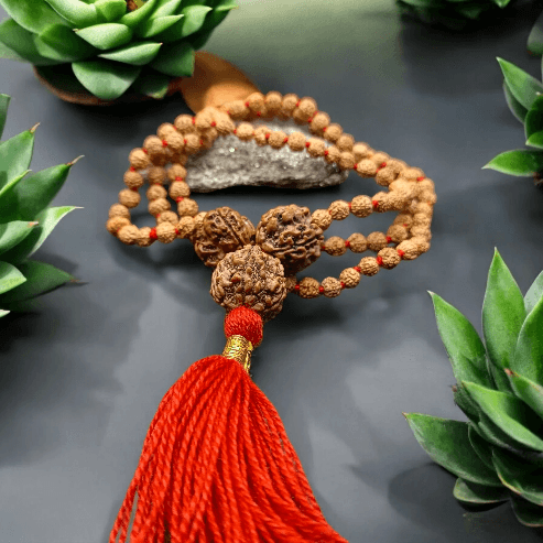 Goddess Lakshmi 7 Mukhi Rudraksha Mala