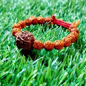 7 Mukhi Rudraksha Bracelet 